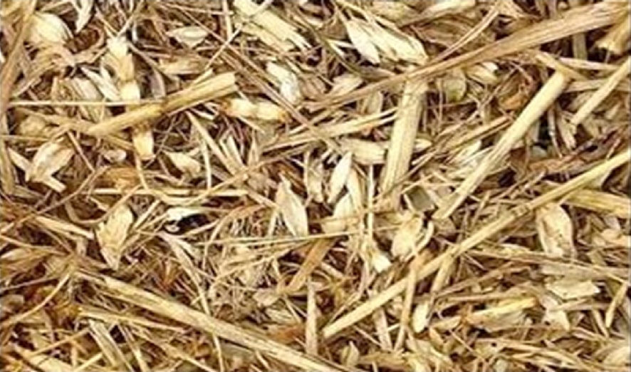 Очистка зерна от сора на ветру